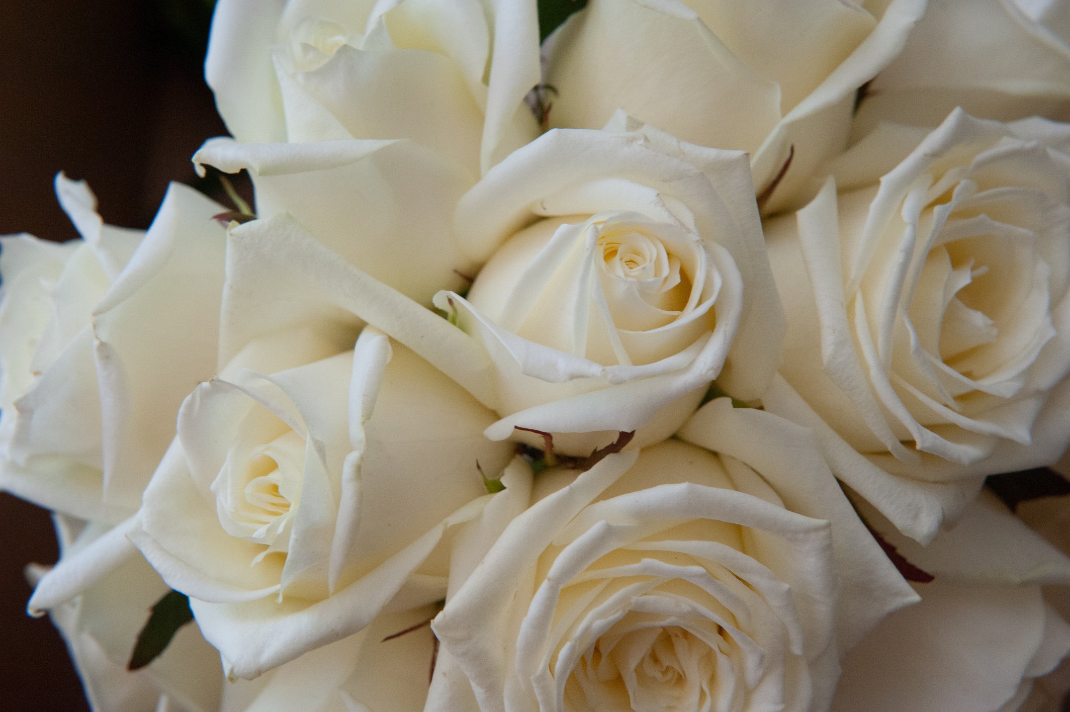 wedding flowers bouquet